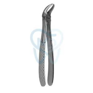 Fig. 87. Lower Molars