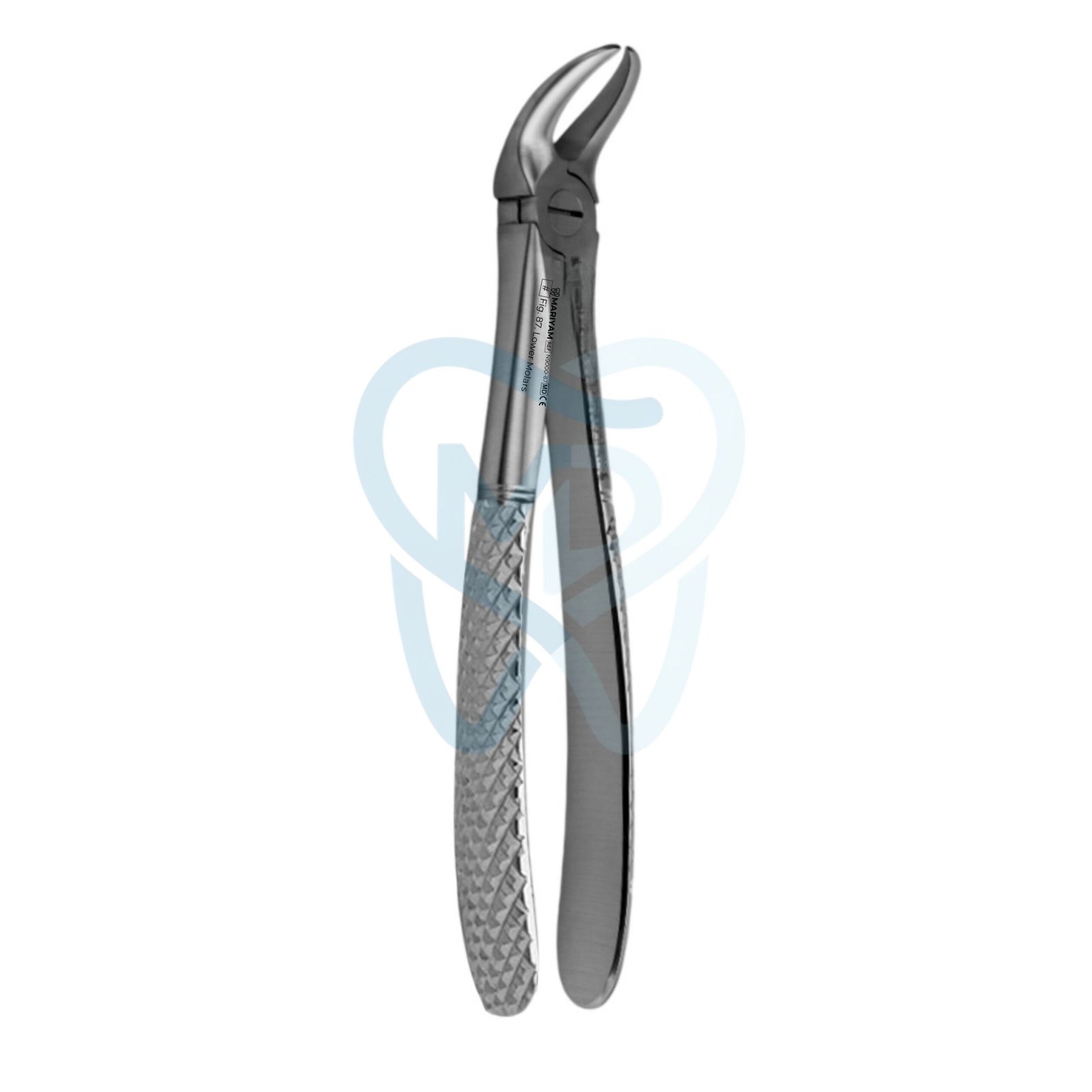 N9000-87 Fig. 87. Lower Molars - Image 1