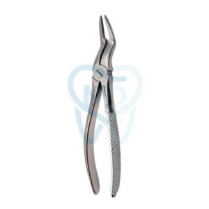 Fig. 97. Upper Roots
