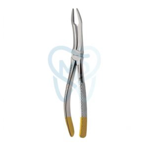 Fig. 144. Upper Roots