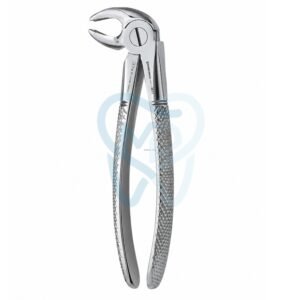 Fig. 22. Lower Molars