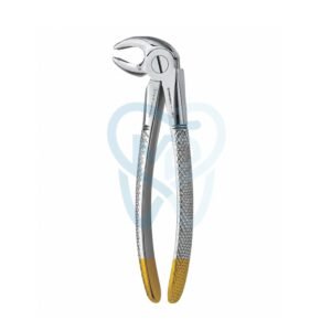 Fig. 22. Lower Molars