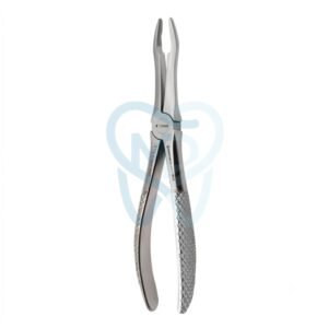 Fig. 41. Upper Roots