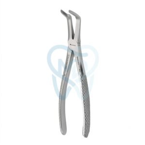 Fig. 46. Upper Roots