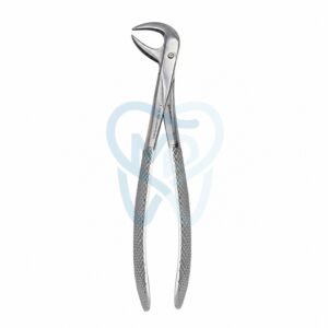 Fig. 86B. Lower Molars