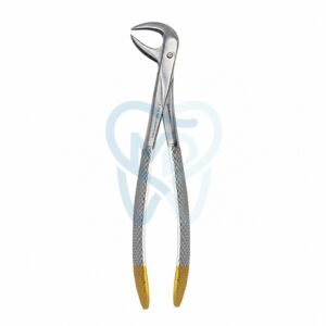 Fig. 86B. Lower Molars