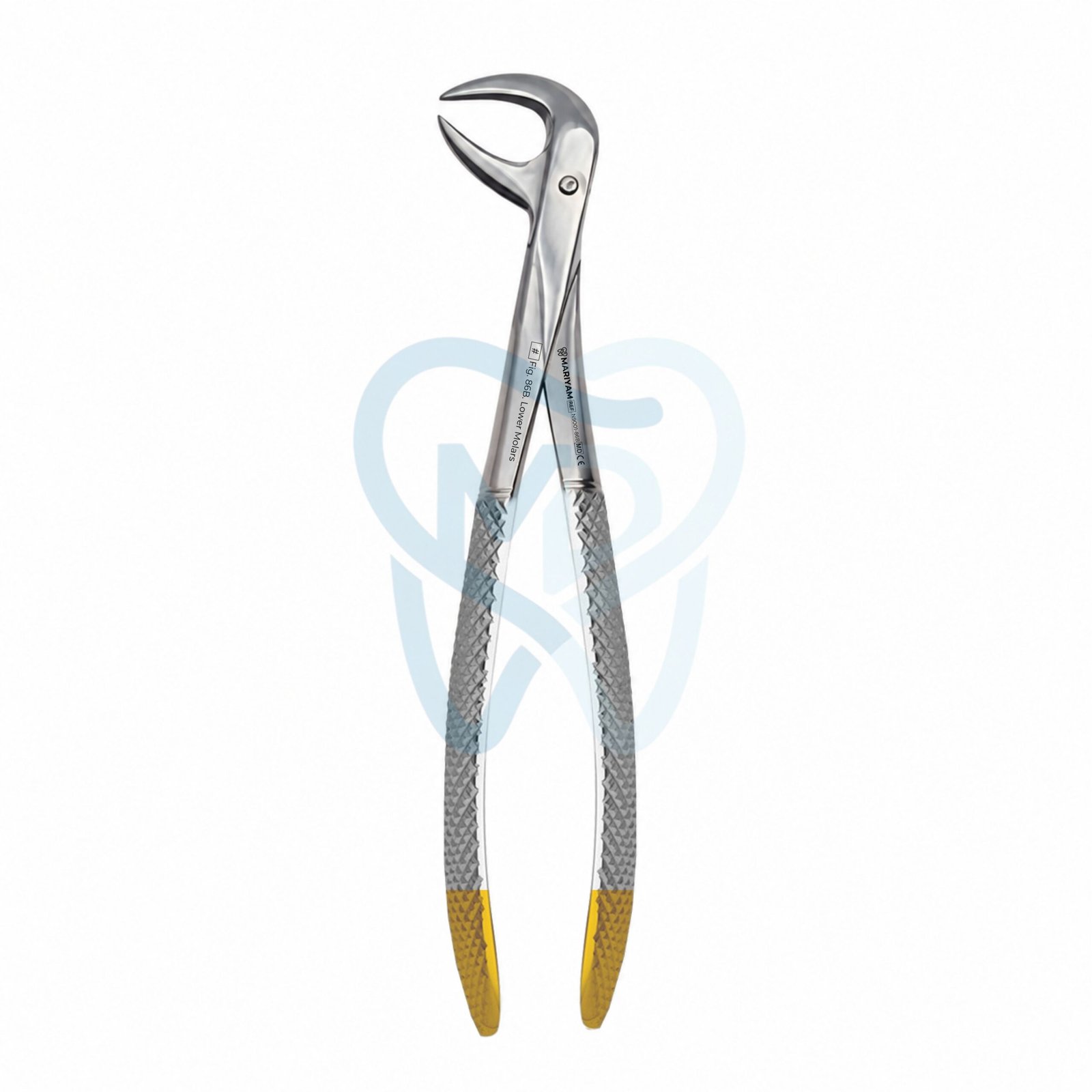 N9001-86B Fig. 86B. Lower Molars - Image 1