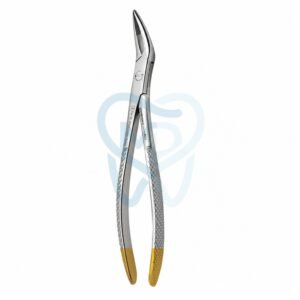 Fig. 98. Witzel (Upper Roots)