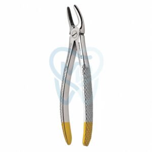 Fig. 99. Hertz (Lower Molars)