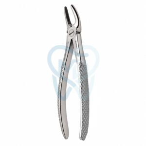 Fig. 99. Hertz (Lower Molars)