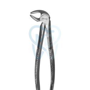 Fig. 13. Lower Molars and Premolars