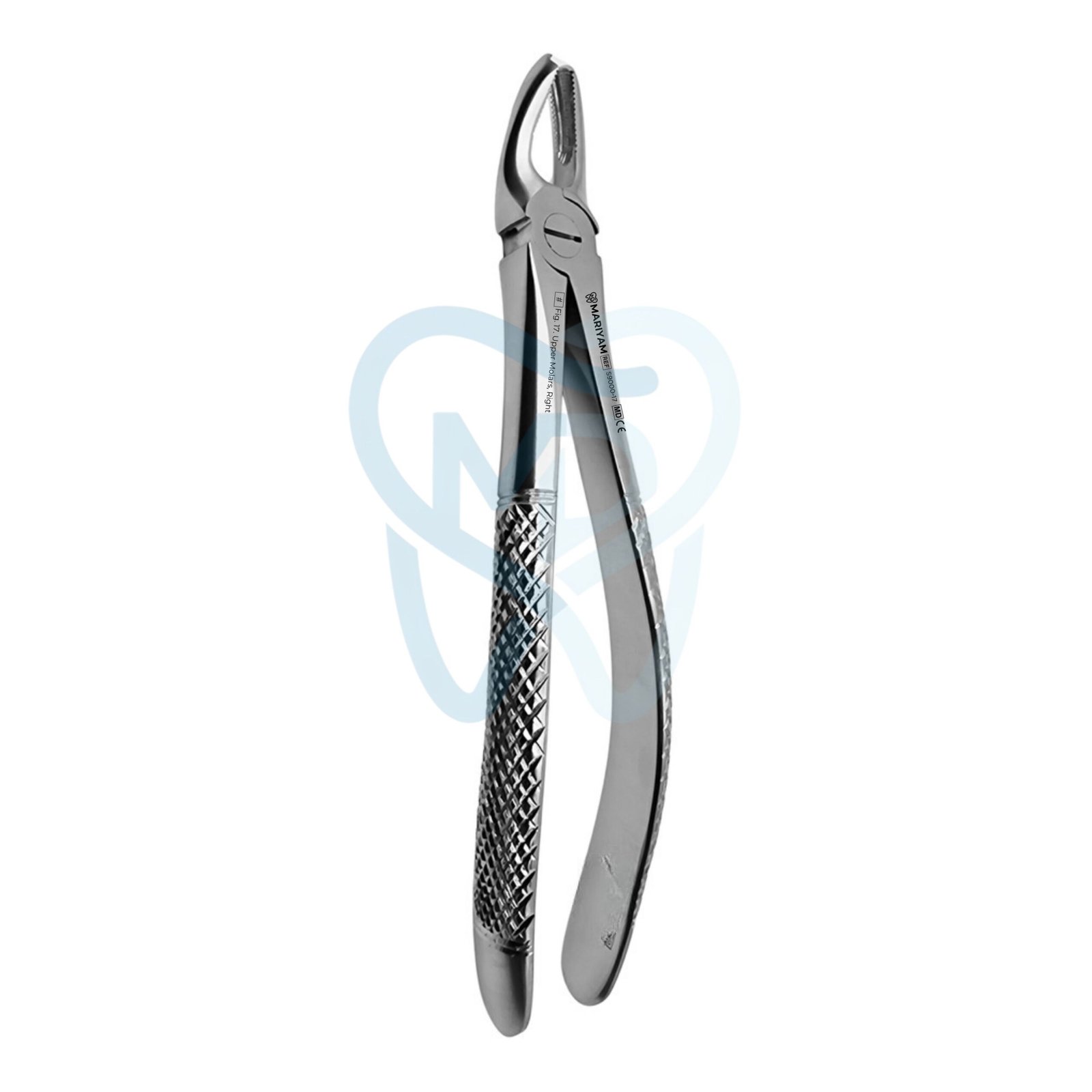 S9000-17 Fig. 17. Upper Molars, Right - Image 1