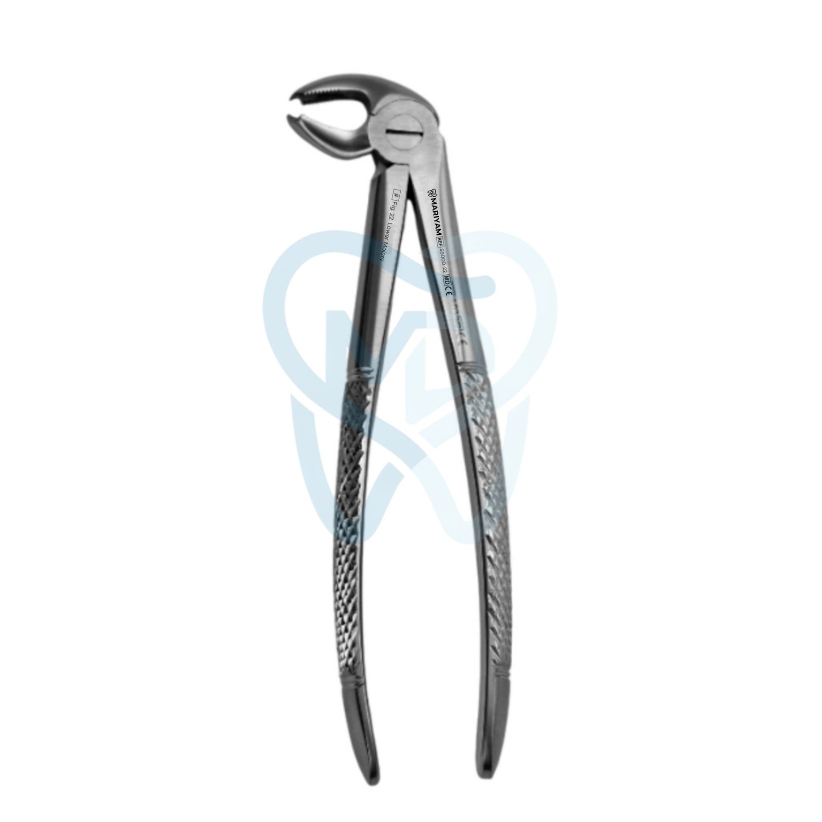 S9000-22 Fig. 22. Lower Molars - Image 1