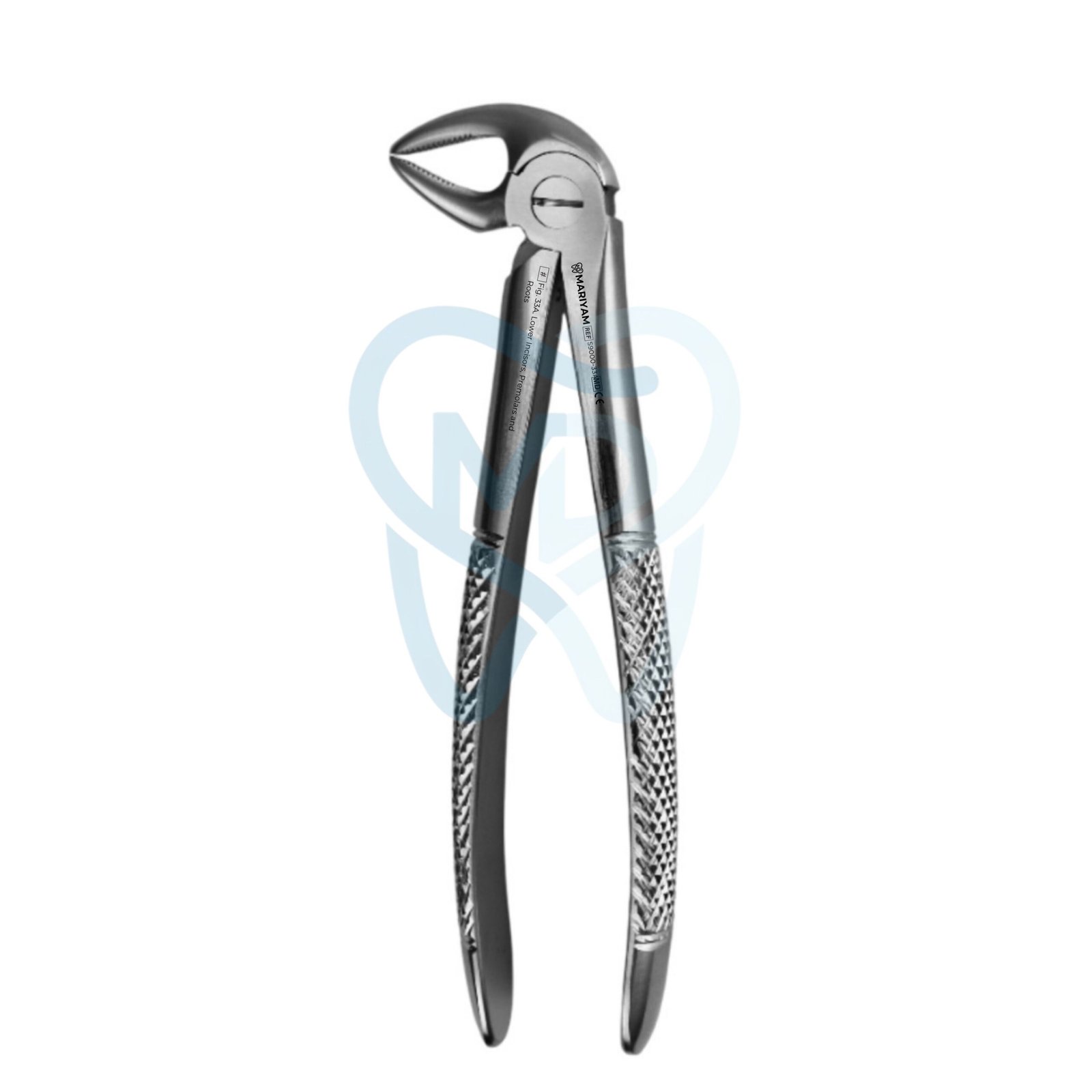 S9000-33A Fig. 33A. Lower Incisors, Premolars and Roots - Image 1
