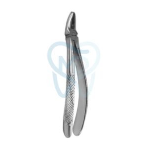 Fig. 7. Upper Premolars