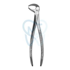 Fig. 86A. Lower Molars