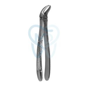 Fig. 87. Lower Molars
