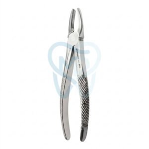 Fig. 1. Upper Incisors and Molars