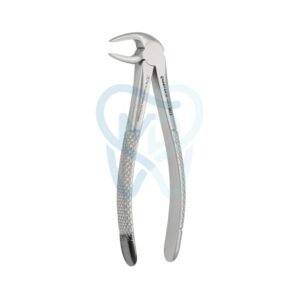 Fig. 13. Lower Molars and Premolars