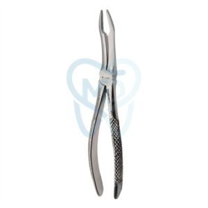Fig. 144. Upper Roots