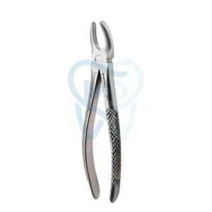 Fig. 17. Upper Molars, Right