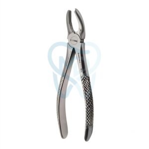 Fig. 18. Upper Molars, Left
