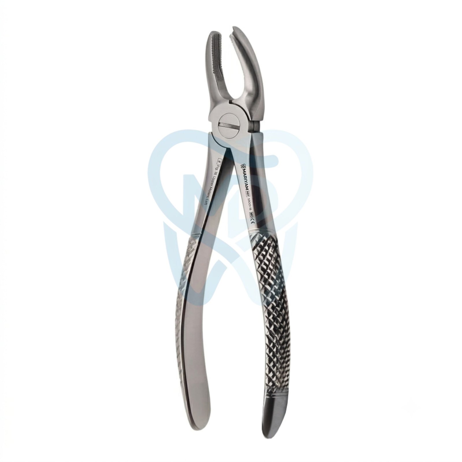 S9001-18 Fig. 18. Upper Molars, Left - Image 1