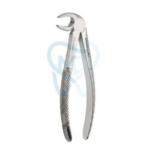 Fig. 22. Lower Molars
