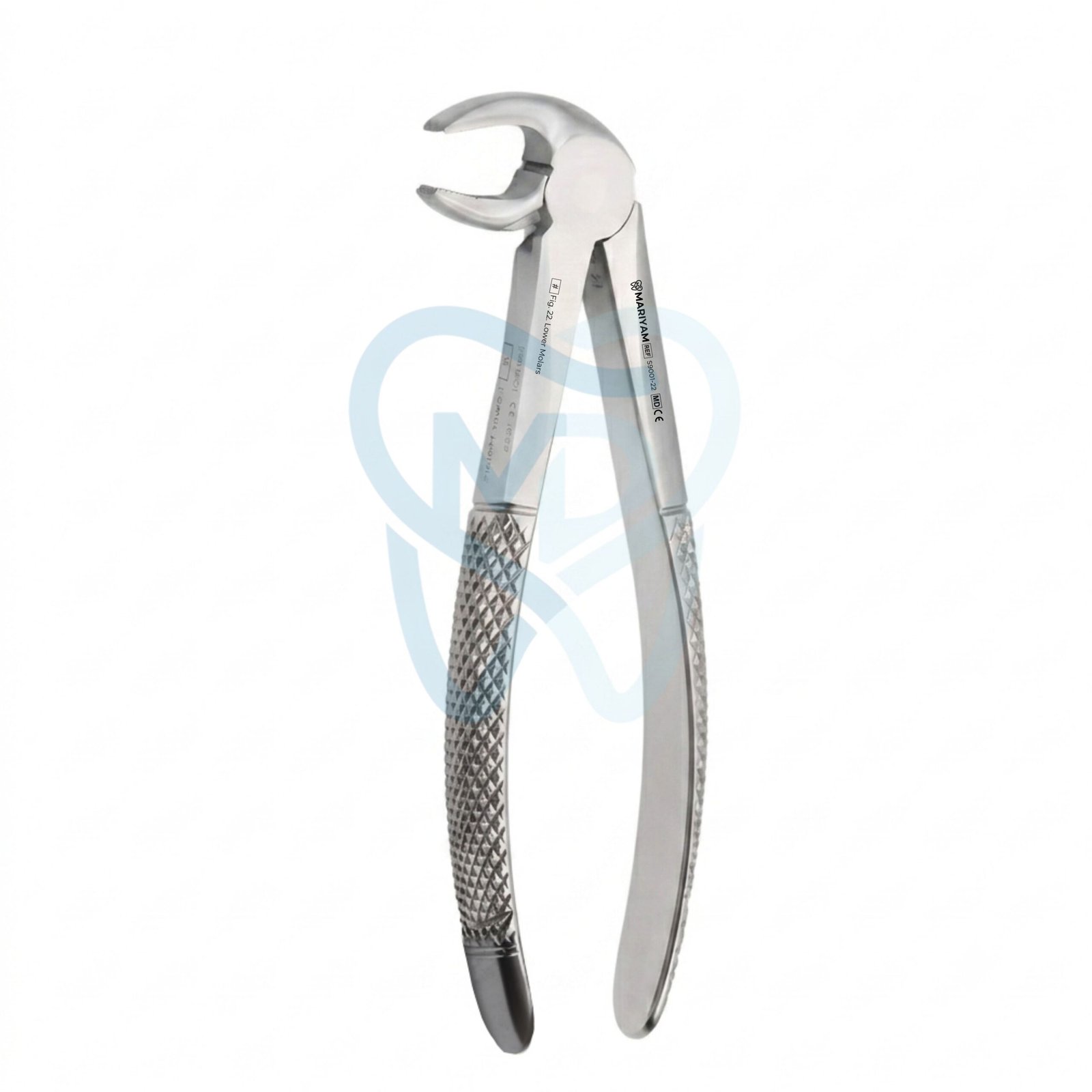 S9001-22 Fig. 22. Lower Molars - Image 1