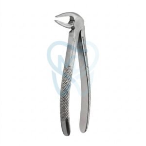 Fig. 33A. Lower Incisors, Premolars and Roots