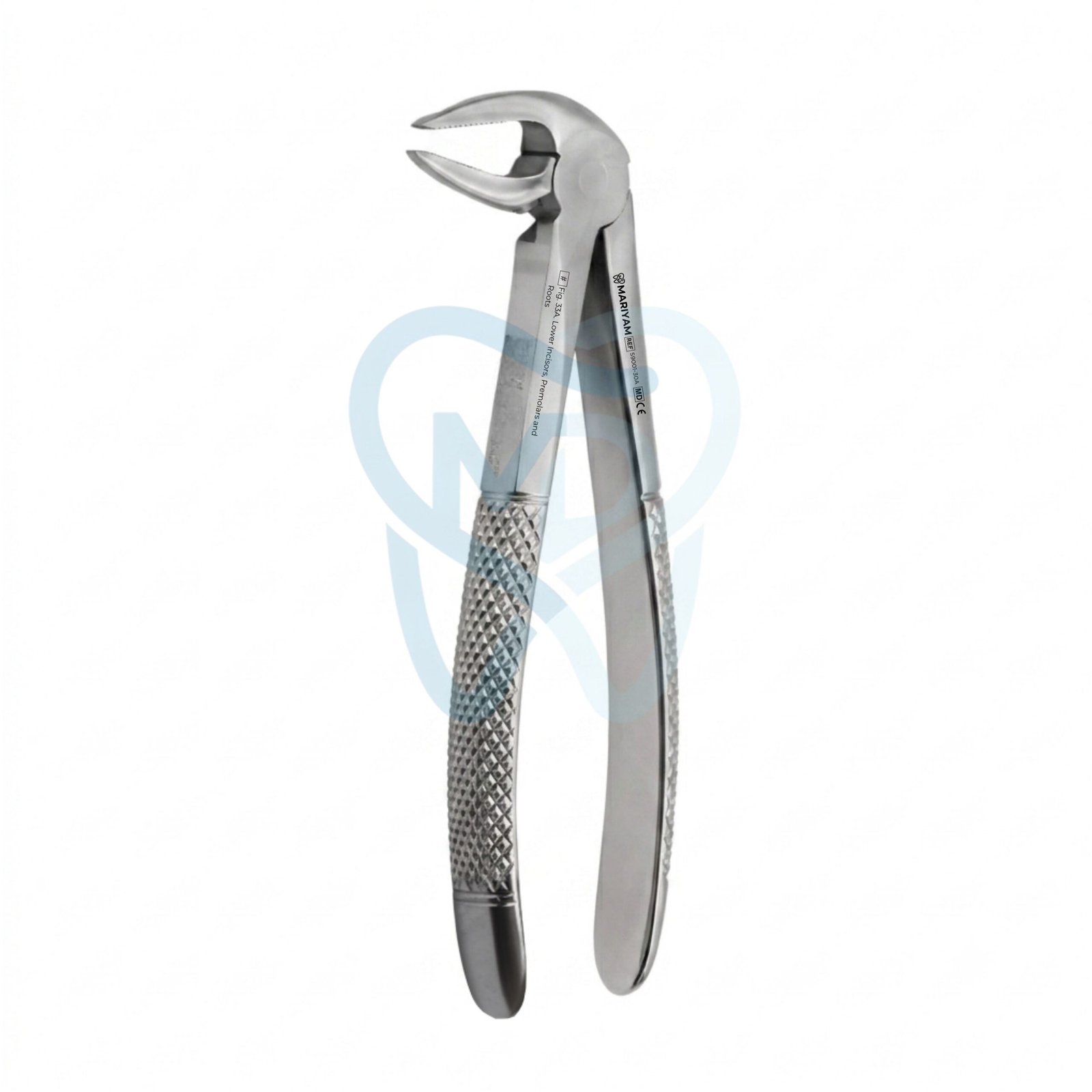 S9001-30A Fig. 33A. Lower Incisors, Premolars and Roots - Image 1