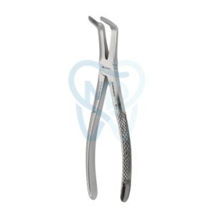 Fig. 46. Upper Roots