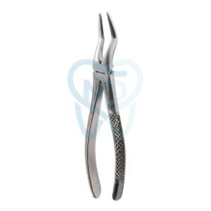 Fig. 51A. Upper Roots