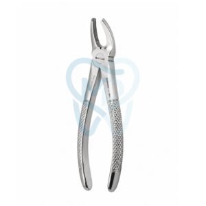 Fig. 7. Upper Premolars