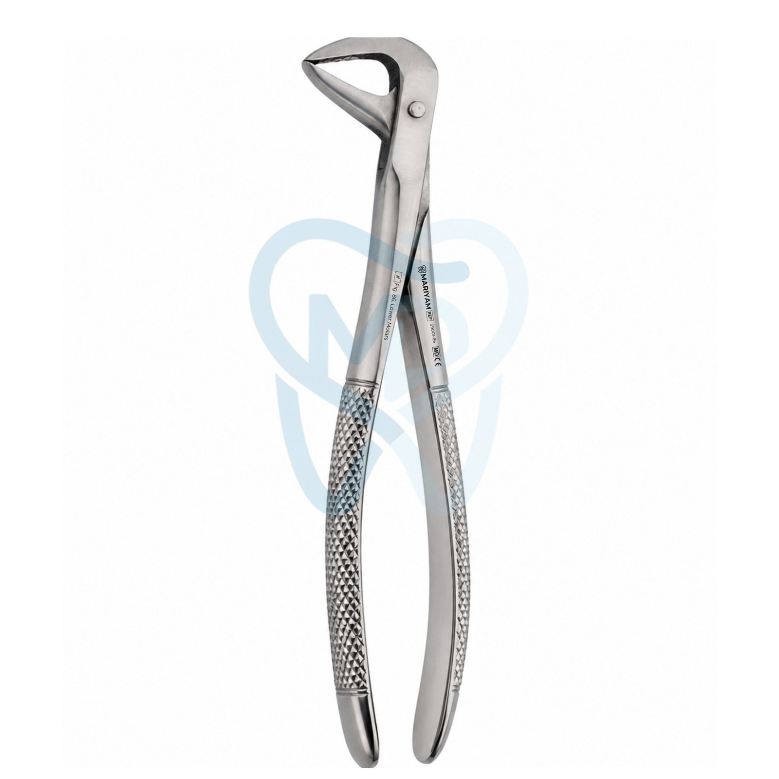 S9001-86 Fig. 86. Lower Molars - Image 1
