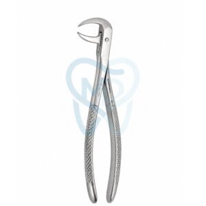 Fig. 86A. Lower Molars
