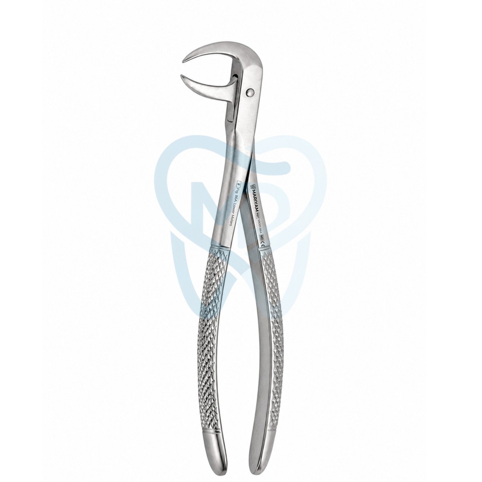 S9001-86A Fig. 86A. Lower Molars - Image 1