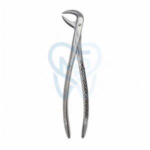 Fig. 86B. Lower Molars