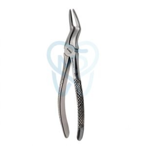 Fig. 97. Upper Roots