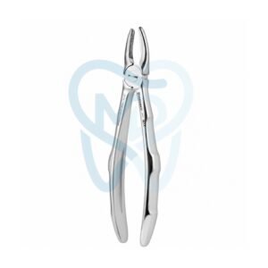 Fig. 1. Upper Incisors and Molars