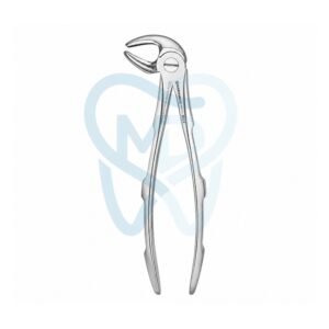 Fig. 13. Lower Molars and Premolars