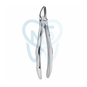 Fig. 17. Upper Molars, Right
