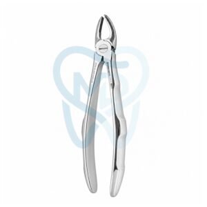 Fig. 18. Upper Molars, Left