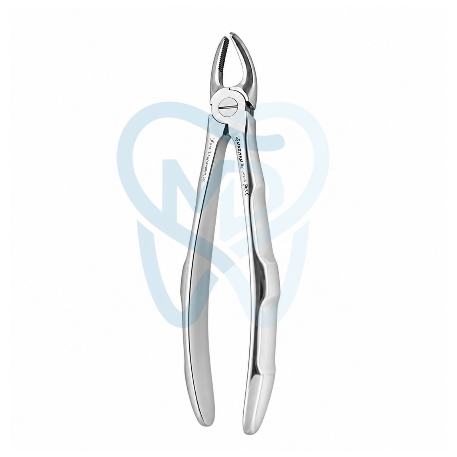 D9000-18 Fig. 18. Upper Molars, Left - Image 1