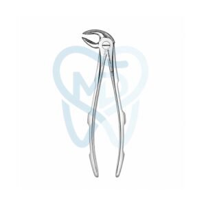Fig. 22. Lower Molars