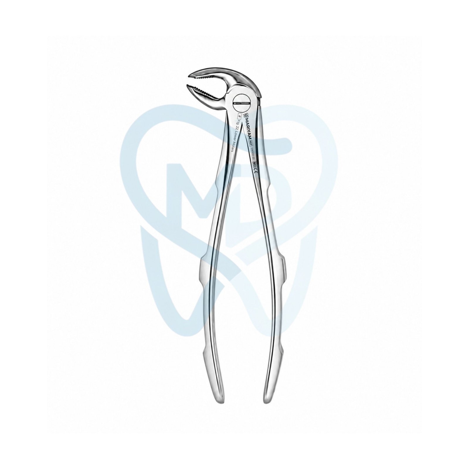 D9000-22 Fig. 22. Lower Molars - Image 1