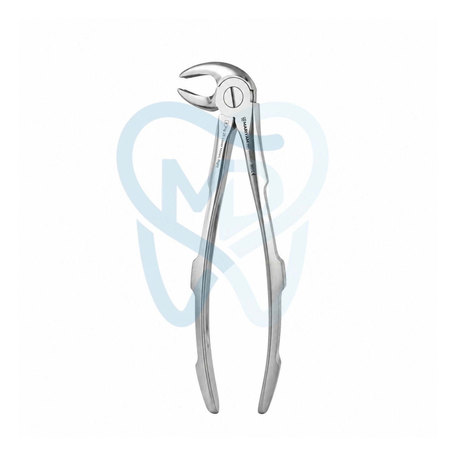 D9000-23 Fig. 23. Lower Molars, Right - Image 1