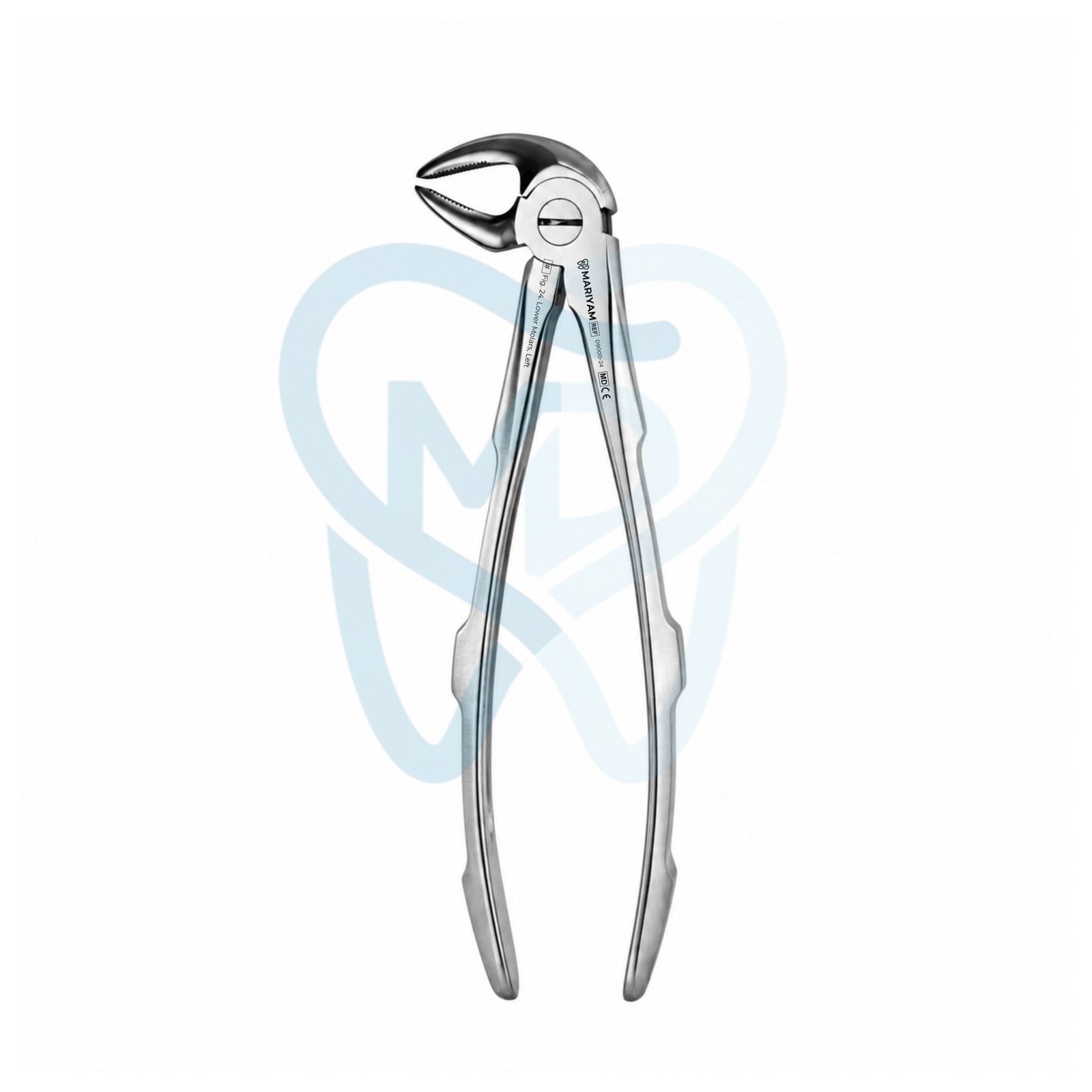 D9000-24 Fig. 24. Lower Molars, Left - Image 1