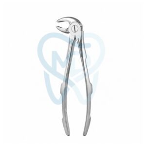 Fig. 33A. Lower Incisors, Premolars and Roots
