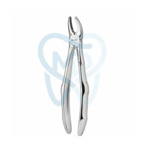 Fig. 7. Upper Premolars